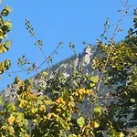 Ciao-aschau Chiemgau Gastner Apartment *