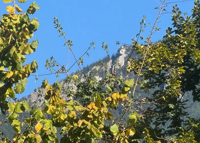 Ciao-aschau Chiemgau Gastner דירה *